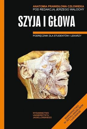 Anatomia Prawidłowa Człowieka Szyja i głowa