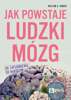 Jak powstaje ludzki mózg