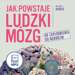 Jak powstaje ludzki mózg - mp3