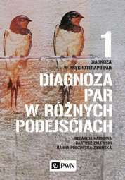 Diagnoza w psychoterapii par. Tom 1. Diagnoza par w różnych podejściach - epub