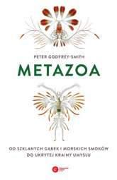 Metazoa