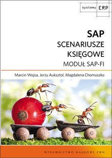 SAP Scenariusze księgowe