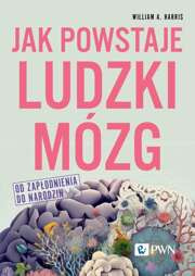 Jak powstaje ludzki mózg Od zapłodnienia do narodzin - epub