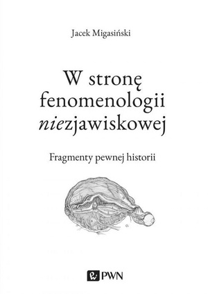 W stronę fenomenologii niezjawiskowej