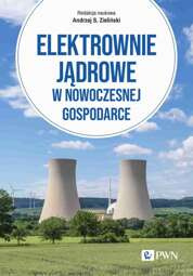 Elektrownie jądrowe w nowoczesnej gospodarce - epub