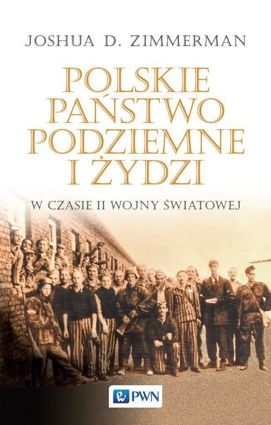 Polskie Państwo Podziemne i Żydzi - epub